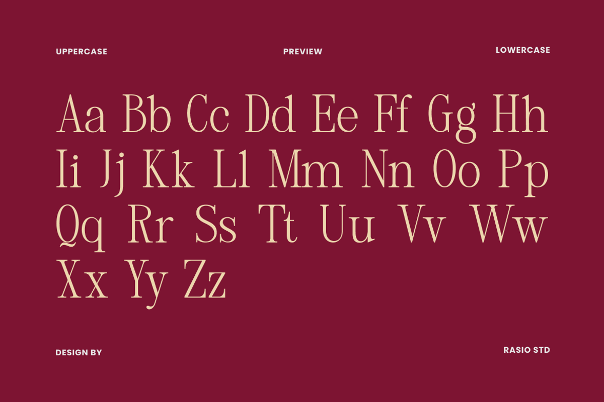Margiona Modern Elegant Serif Font, a Serif Font by Rasio Studio (Photo 2 of 9)