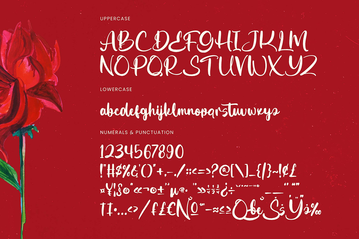 Ghatyna Bold Brush Font, a Script Font by Letterena Studios Script (Photo 19 of 20)