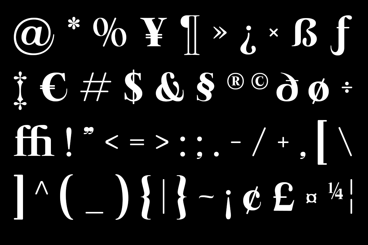 Arviel – Bold Editorial Serif Family, a Serif Font by roomspace creative lab (Photo 12 of 13)