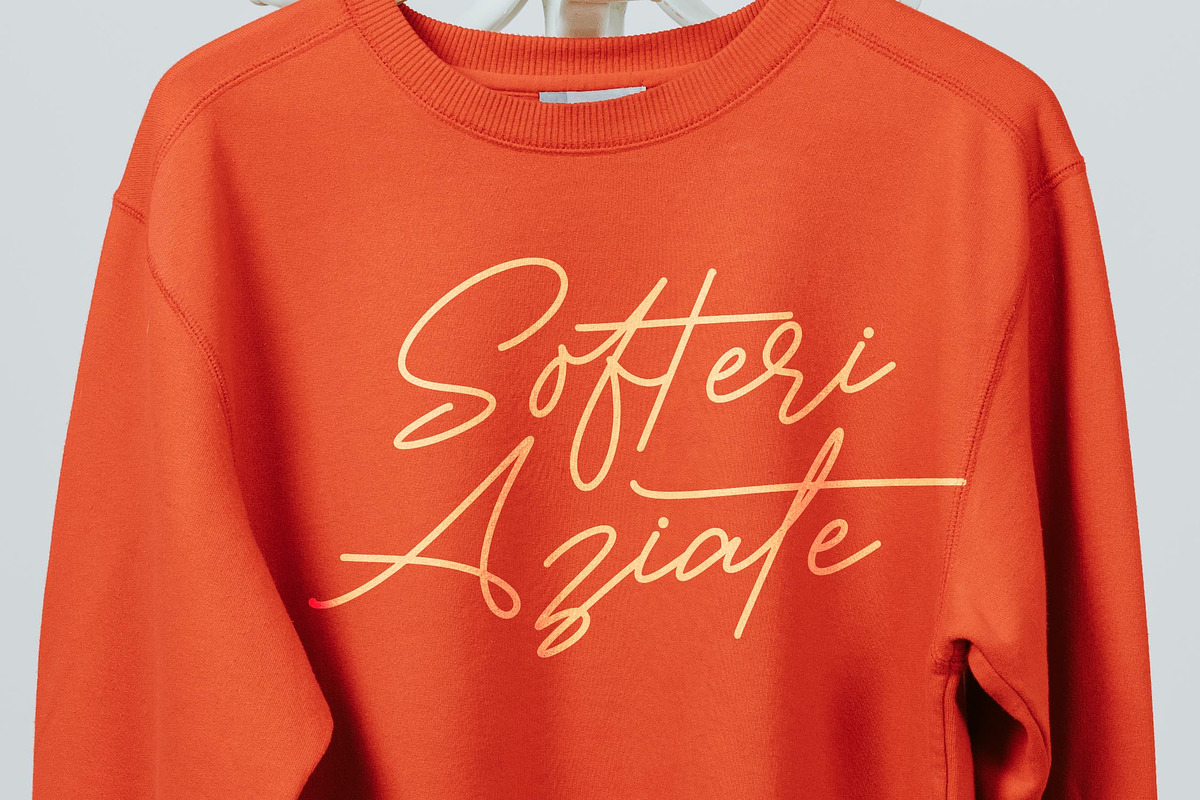 Victoria Montera Monoline Signature, a Script Font by stylishtype.co (Photo 9 of 20)