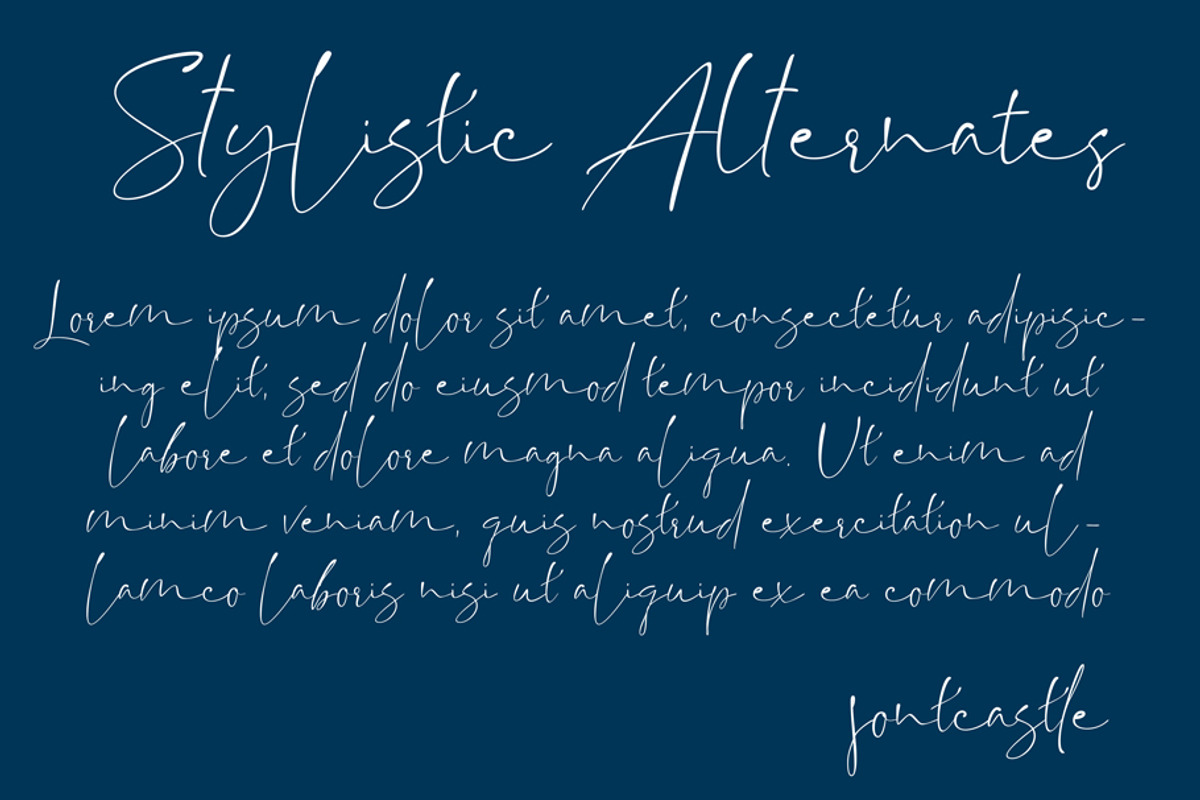 Backwash - Casual Script Font, a Script Font by Fontcastle (Photo 3 of 9)