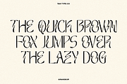TAN - GRANDEUR, a Sans Serif Font by TanType (Thumbnail 22 of 25)