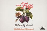 Vintage Fruits Sublimation Bundle, an Object Graphic by GlitterCraft (Thumbnail 20 of 21)