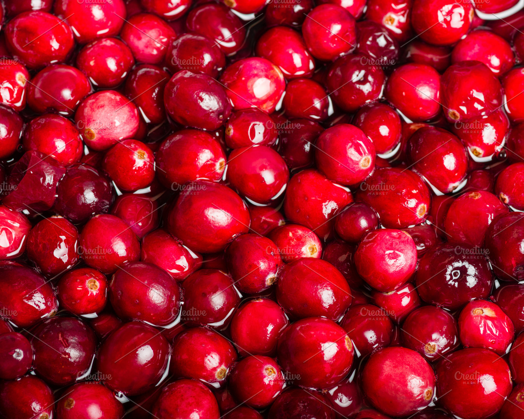 Red Cranberries