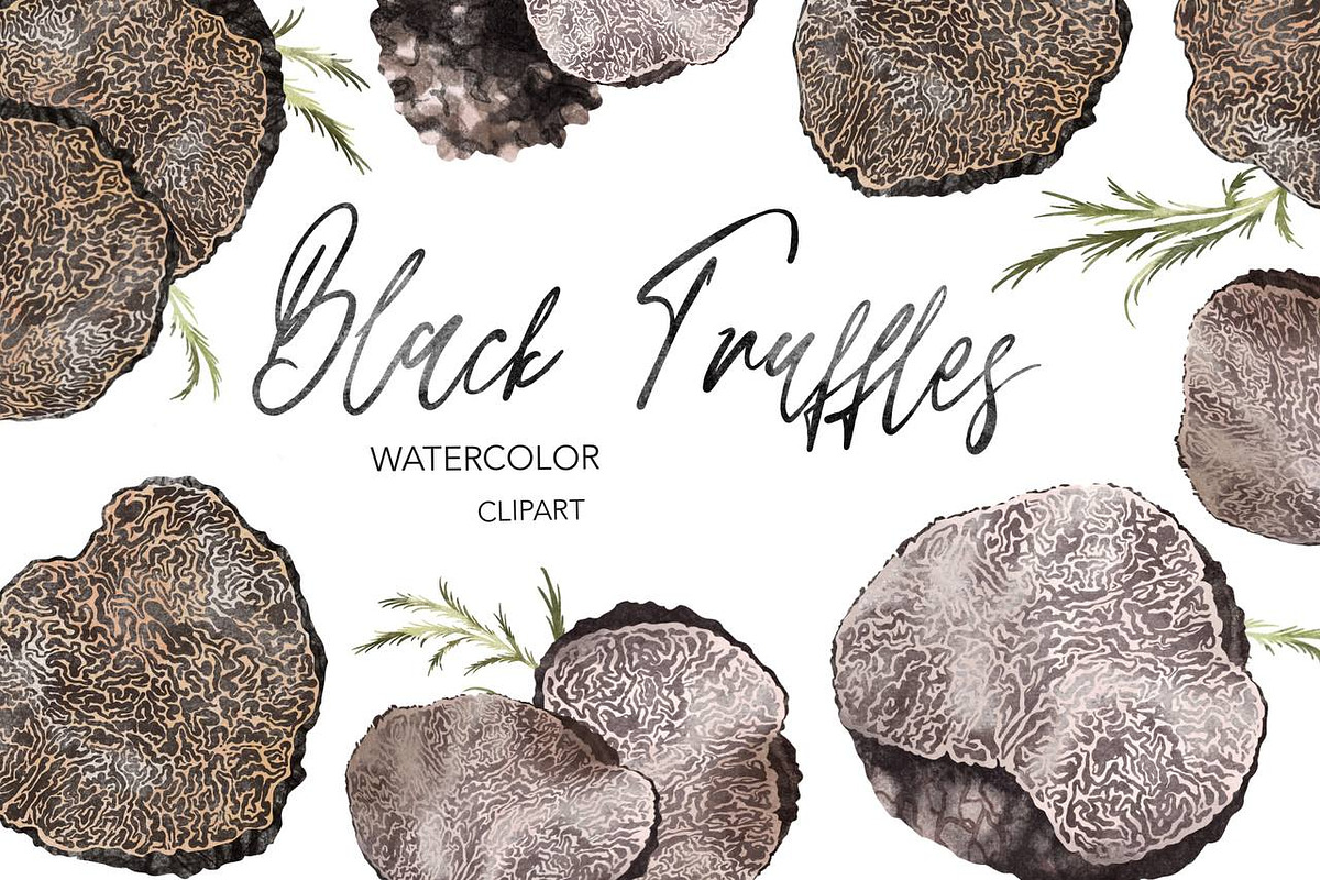 Black Truffle Watercolor Clipart, a Food Illustration by NKTKNS (Photo 1 of 6)