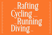 TBJ Malta 9-Font Family, a Serif Font by Taboja Studio (Thumbnail 8 of 16)