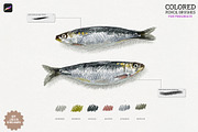 Colored Pencil Brushes for Procreate, a Brush Add-On by Julia Dreams (Thumbnail 3 of 9)