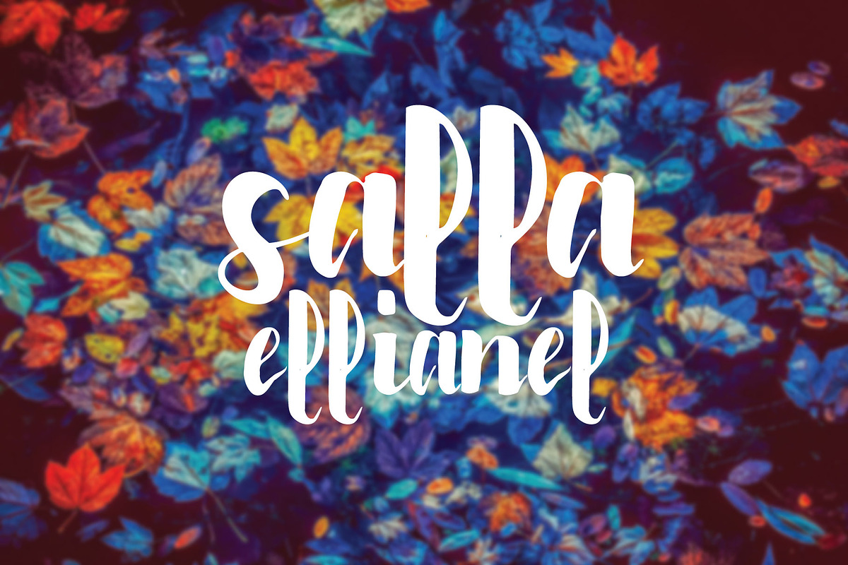 edfander font preview 2