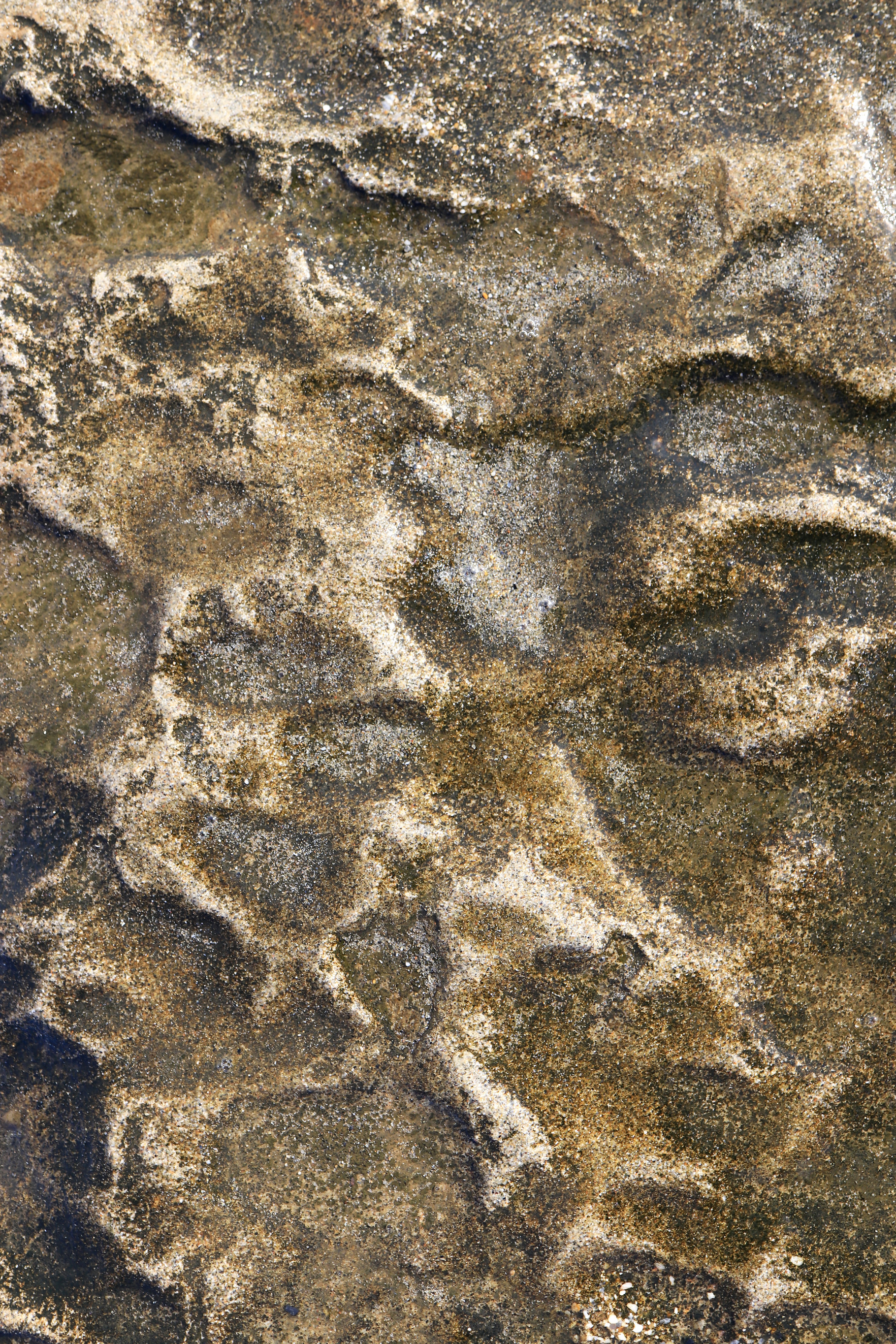Rough sea rock cliff texture, a Texture Graphic by Textures ...
