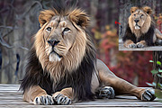 Turn photo into Animal Oil Panting, an Action Add-On by MRI STUDIO (Thumbnail 5 of 9)