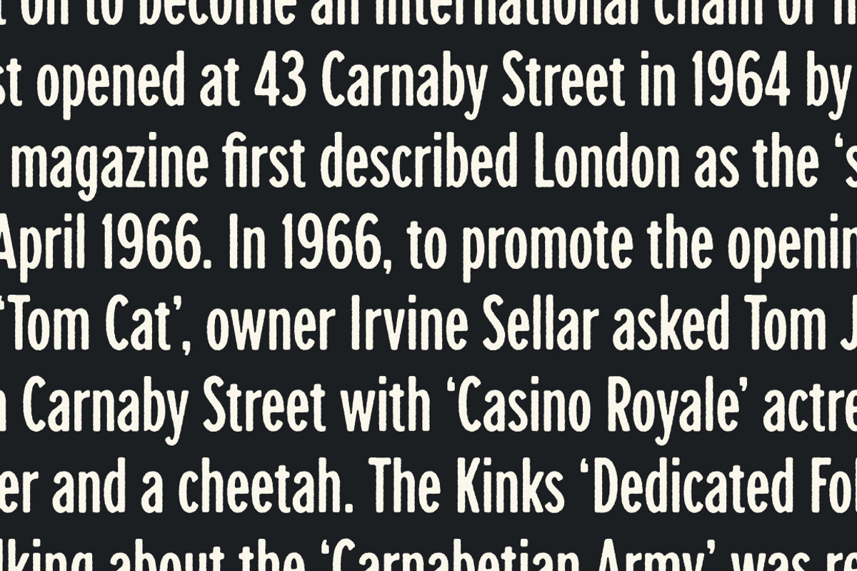 Carnaby Street, a Sans Serif Font by Simon Walker (Photo 9 of 10)