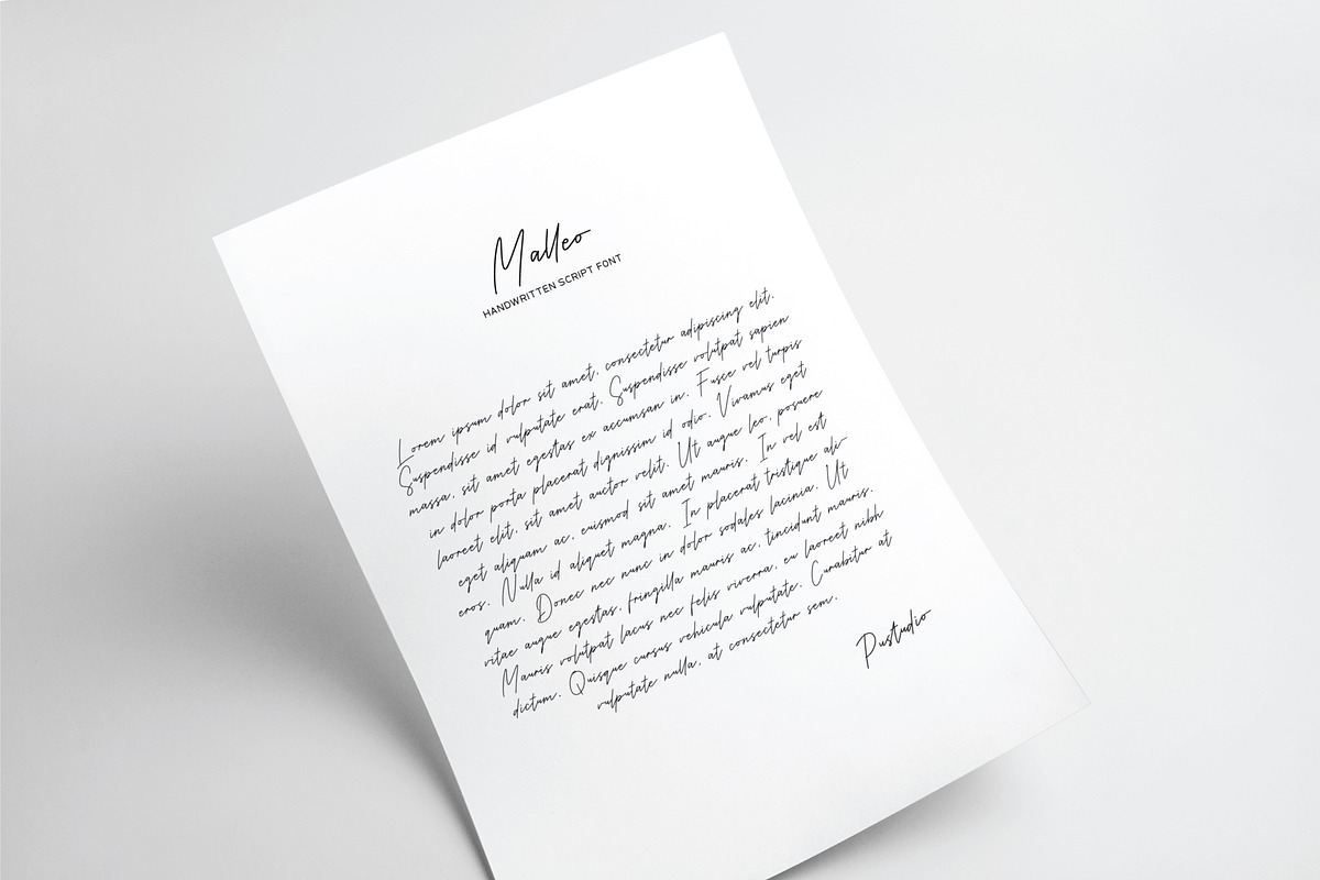 Malleo, a Script Font by Pustudio (Photo 4 of 7)