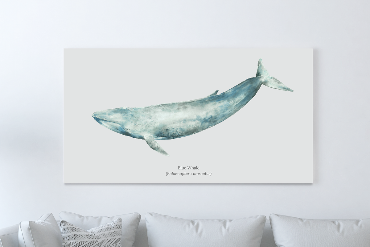 Watercolor Blue Whale Clipart, an Animal Illustration by Kolorata Art (Photo 3 of 3)