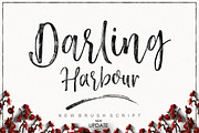 Darling Harbour Brush (NEW UPDATE), a Script Font by Areatype (Thumbnail 1 of 7)