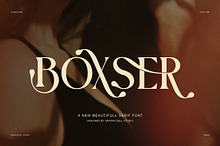 Boxer Elegant Display Serif Font