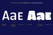 Condell Bio Poster, a Sans Serif Font by Letritas (Thumbnail 11 of 11)
