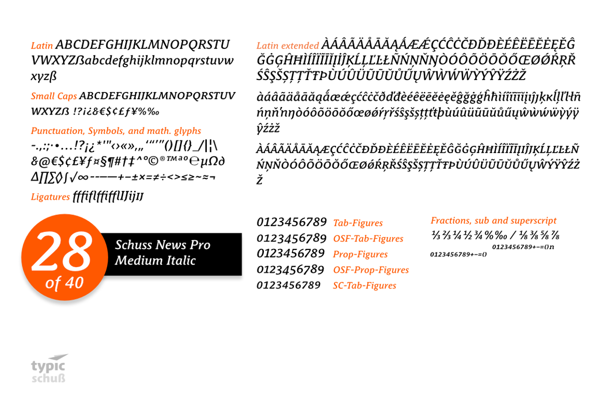 SchussNewsProMedIta No. 28 (1 Font) preview 3