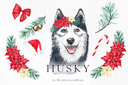 Christmas Husky Dog Winter Clipart, an Illustration by Ksenia Shmakova (Thumbnail 1 of 6)