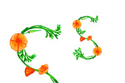 California Poppy Alphabet, an Object Graphic by byherline (Thumbnail 2 of 2)