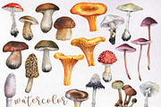 Watercolor Mushrooms clipart, PNG, a Decorative Illustration by PatternPalette (Thumbnail 2 of 2)