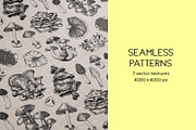 Mushrooms Vector Illustration Set, an Object Illustration by Yevheniia (Thumbnail 12 of 14)
