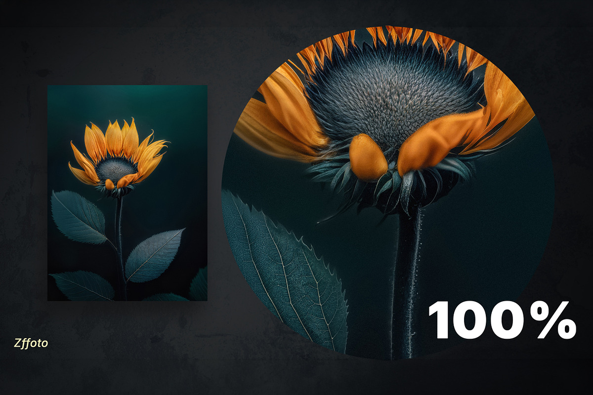 Dark Sunflower Triptych, a Decorative Illustration by BazziBa♥ (Photo 8 of 8)