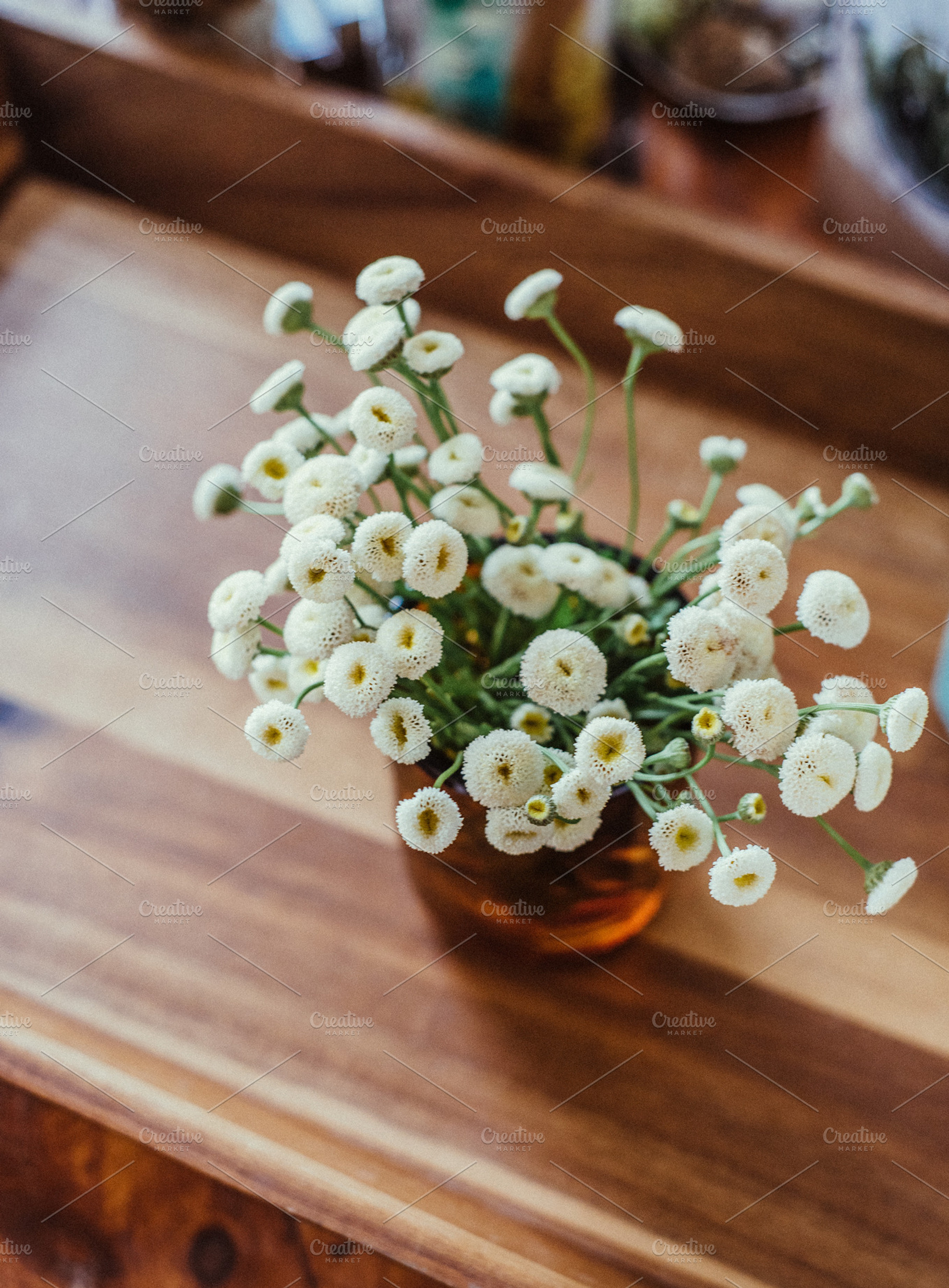 Styled White Wildflowers, a Nature Photo by Stephanie Mikuls
