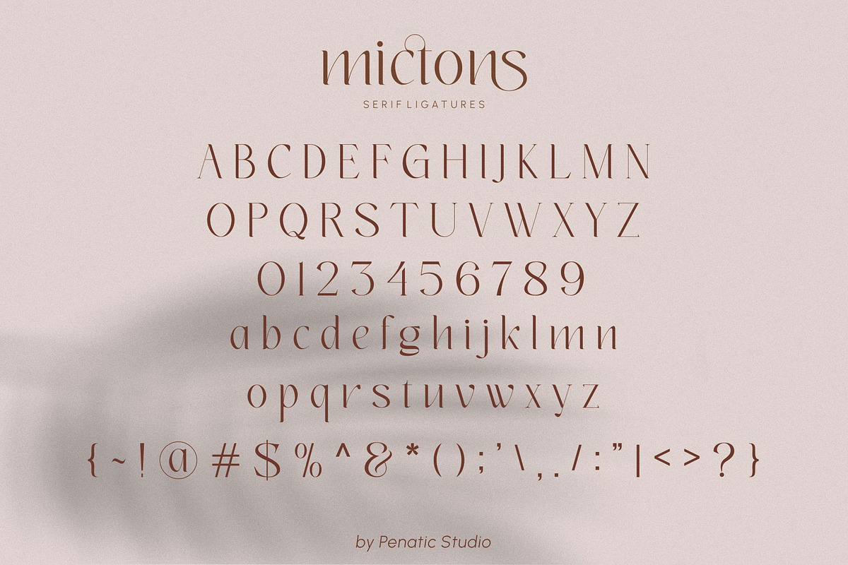 mictons, a Serif Font by Penatic Studio (Photo 8 of 10)