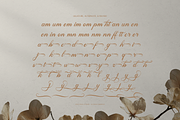 Mamylinus | Beautiful Calligraphy, a Serif Font by Denustudios (Thumbnail 11 of 12)