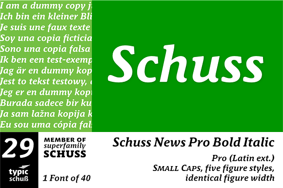 SchussNewsProBoldIta No.29 (1 Font) preview 6