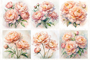 Peach Peony Watercolor Floral, a Decorative Illustration by NatalieArtsDenysenko (Thumbnail 4 of 5)