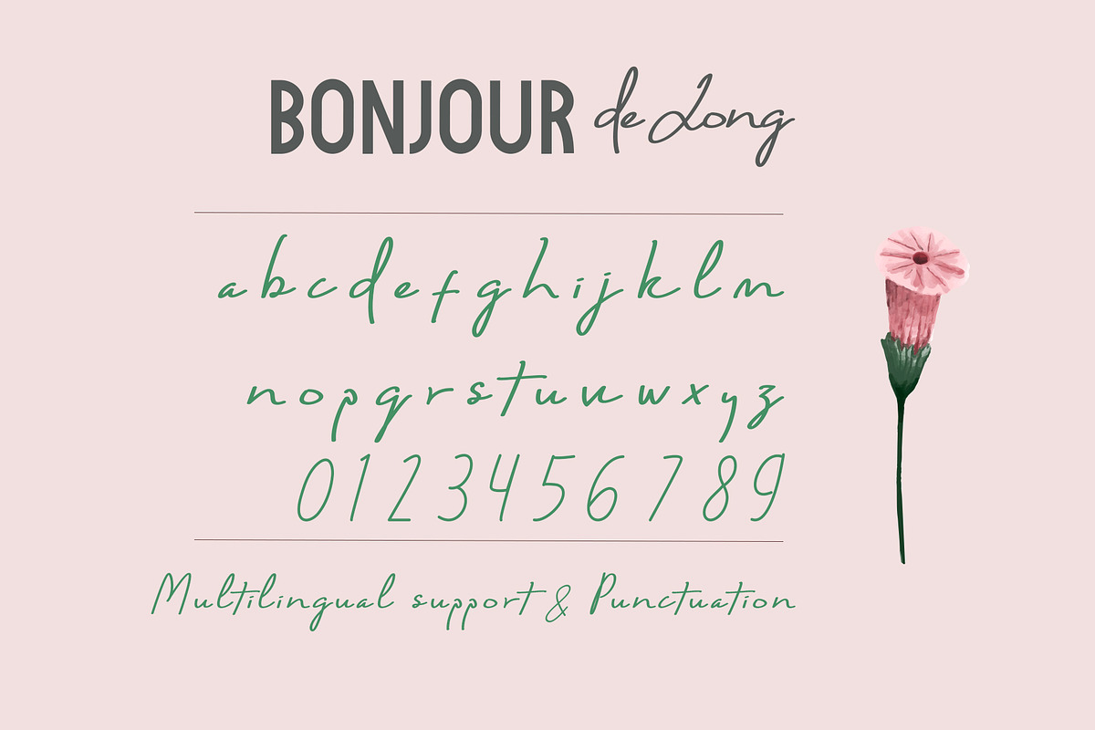 Bonjour de Jong - Font Duo, a Script Font by Wellscript Studio (Photo 10 of 11)