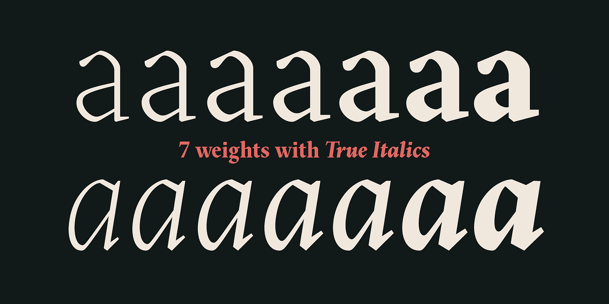 Blizka, a Serif Font by YXType (Photo 5 of 13)