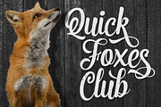 Premier Script, a Script Font by Twicolabs Fontdation (Thumbnail 1 of 7)