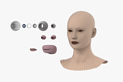 Natural Female Head 01 Generic Mesh, a Characters & Person 3D Model by VK Studio (Thumbnail 11 of 19)