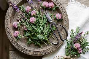 Rustic Herbal Harvest, a Nature Photo by Virgo Studio