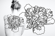 50 Peony Flower Vector Illustrations, an Illustration by Inkwell Supply Co (Thumbnail 13 of 20)