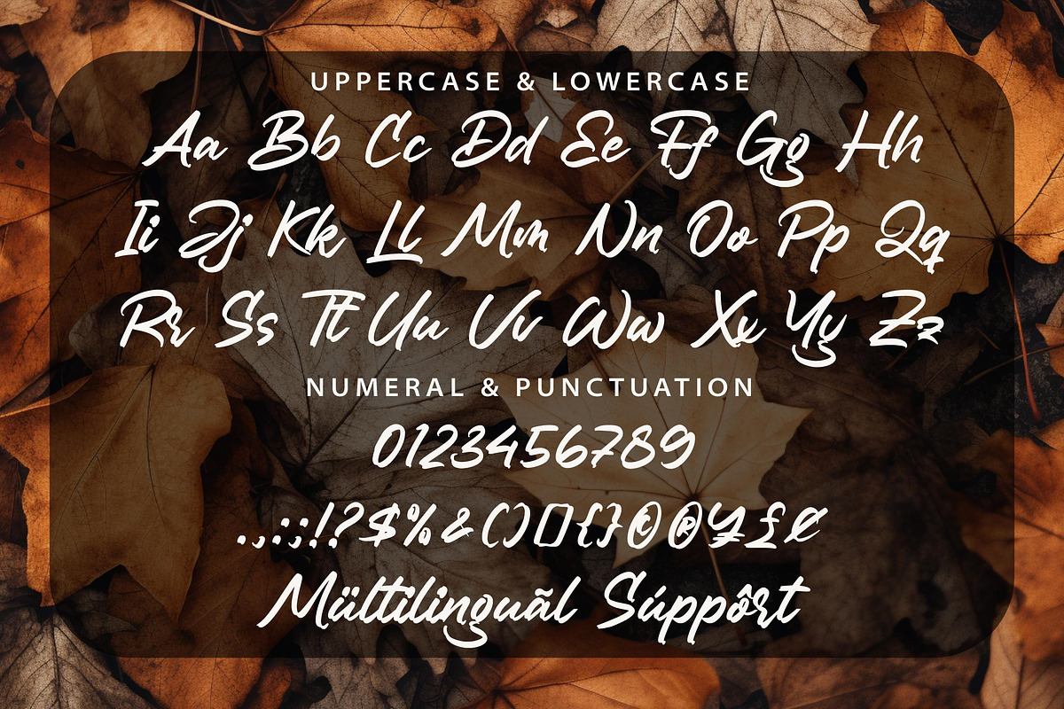 Blastegon - Modern Script, a Script Font by Graha Type (Photo 10 of 12)
