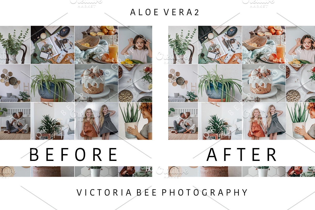 5 Mobile Presets ALOE VERA, an Action Add-On by Victoria Bee Presets (Photo 4 of 10)