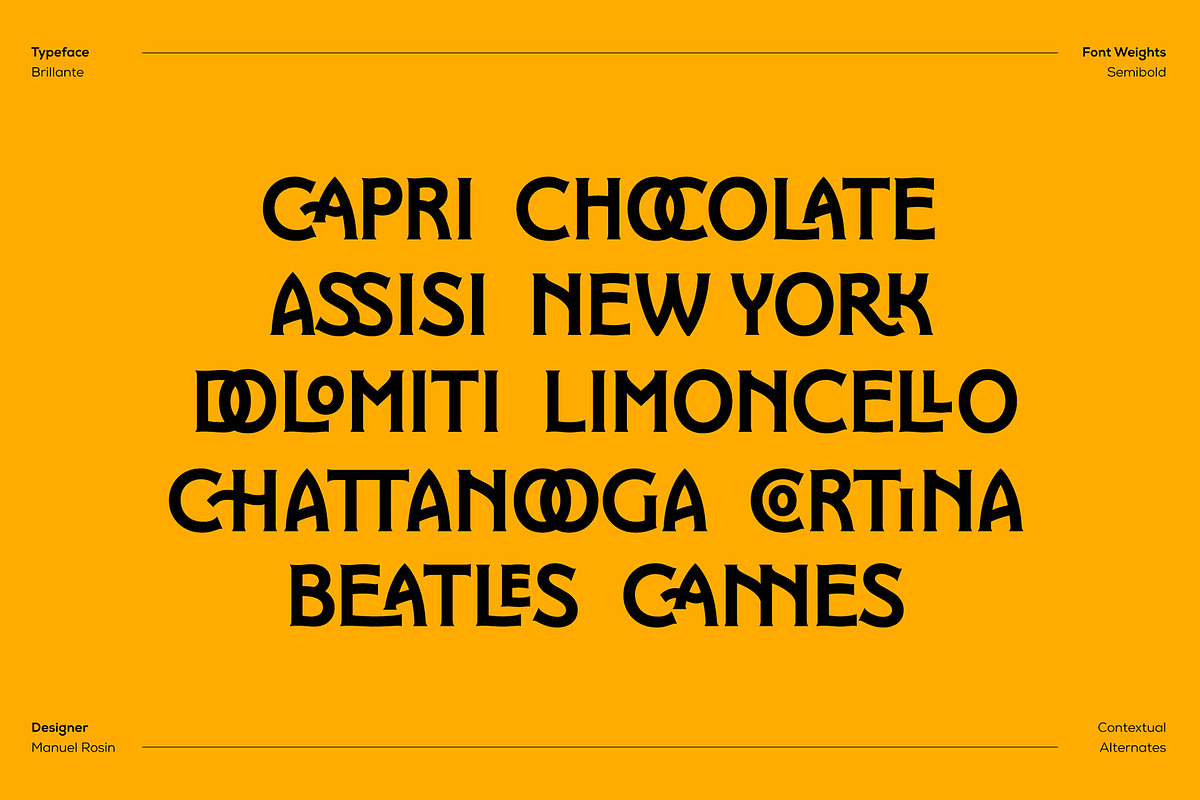 Brillante Typeface, a Serif Font by ManuelRosin (Photo 2 of 19)