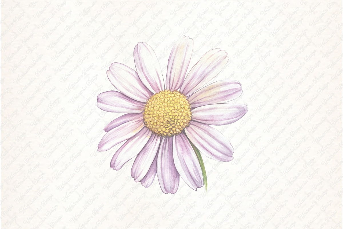 Watercolor Preppy Floral Clipart, an Illustration by Watercolor design (Photo 8 of 12)