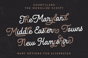 Dountyland - Monoline Script