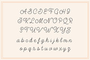 Honeydew Script Calligraphy Font, a Script Font by Molly Suber Thorpe (Thumbnail 7 of 13)
