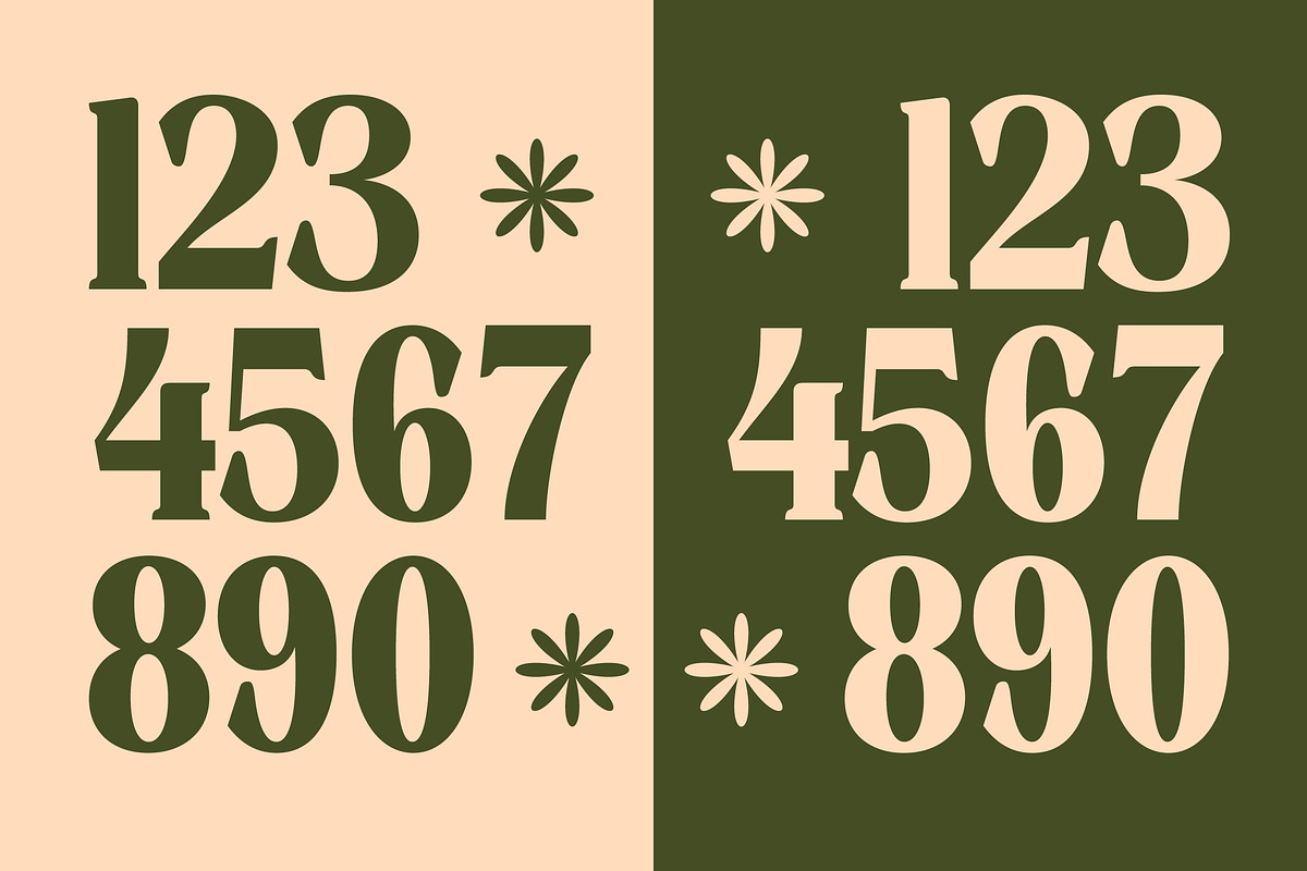Rusty Drake Bold Serif Display, a Serif Font by timelesstype.co (Photo 13 of 20)