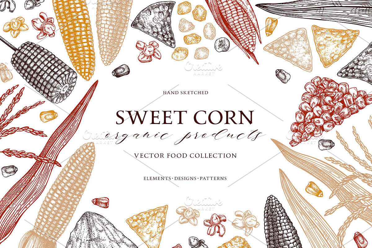 Sweet Corn. Vector Food Collection, a Food Illustration by Yevheniia (Photo 1 of 6)
