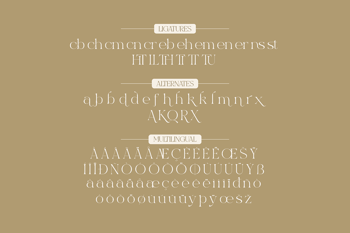 Excrallik Modern Serif, a Serif Font by Denustudios (Photo 6 of 7)