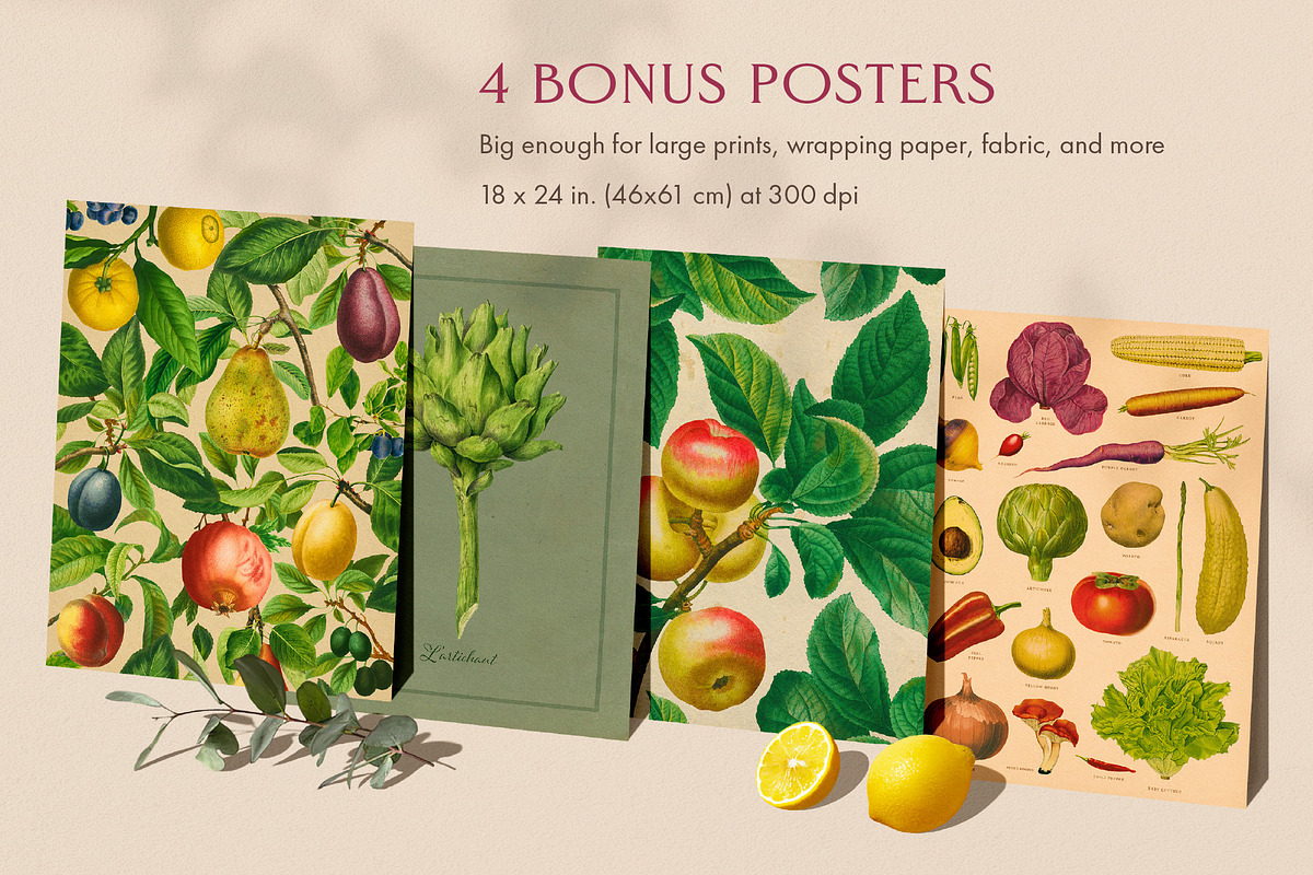 80 Fruits & Vegetables, an Object Graphic by The Object Atlas (Photo 7 of 10)