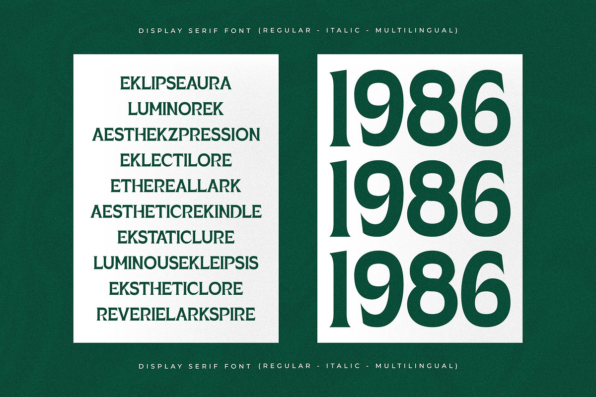 Porladek Display Serif Font, a Serif Font by Storytype Studio (Photo 9 of 15)