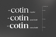 OV Cotin Serif Font Family, a Serif Font by OV Type (Thumbnail 4 of 16)