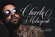 Quadrian - Elegant Script, a Script Font by Arterfak Project (Thumbnail 3 of 13)